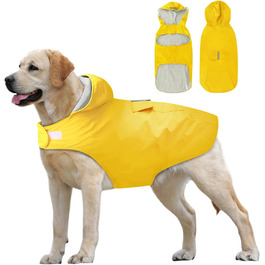 колір: жовтий