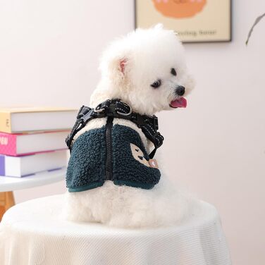 Теплий зимовий нашийник для собак з флісовою підкладкою - нашийник для цуценят з отвором для шлейки - для маленьких та середніх собак, осінь, прогулянки, зелено-білий