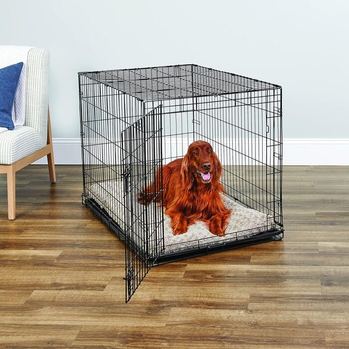Кія Hundebox B30 - переноска для собак, 76 см, для малих порід, з піддоном, захистом підлоги та функціями, 109 x 72 x 77 см