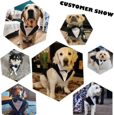 Костюм для собак на Різдво та Хелловін: Smoking Shirt & Святковий набір (Чорний, XXL)