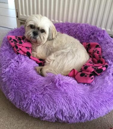 Кімната для домашніх тварин у формі пончика: ліжко для собак, ліжко для котів, гніздо для тварин, м'яке ліжко для котів та маленьких собак (60 см, Волетт)