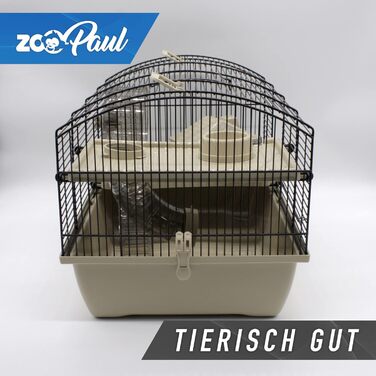 Клітка для гризунів Victor 2+ 51x33x33 см, бежева, з аксесуарами, для хом'яків, мишей, піщанок, іграшка