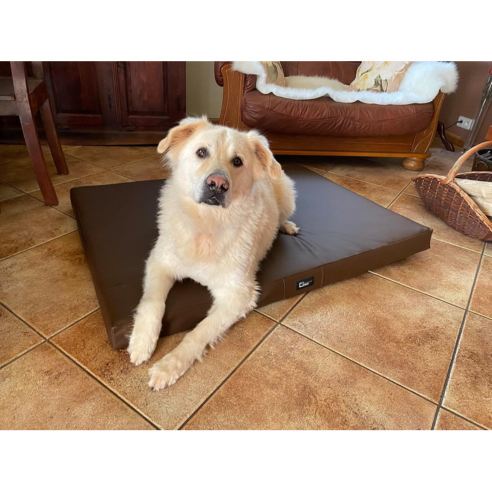 Килимок для собак Tina Grosse: великий, середній та маленький - м'яке ліжко для собак з еко-шкіри. Легко миється, водонепроникний, м'який, довговічний, стійкий до зношування та розривів (XL, 100x80x8 см, Коричневий)