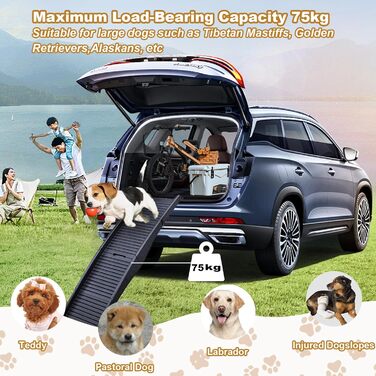 Рампа для собак Hunderampe, пластикова, складається, до 75 кг, з антиковзким покриттям, для маленьких собак, допомога при входженні в авто