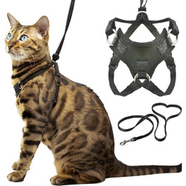 Houdini™ захисна шлея та повідець для кошенят OutdoorBengal, розмір S, набір для прогулянок, анти-втеча
