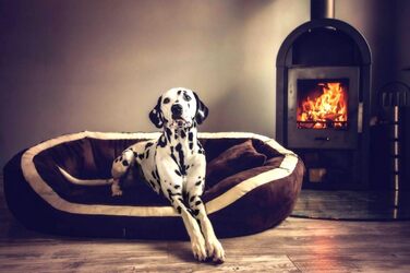 Ортопедичне ліжко для собак Tierlando® Pepper, ліжко-софа для собак, XL, віскоеластична піна, велюр, сірий, 110 см, велике та м'яке, PE4, розмір L +