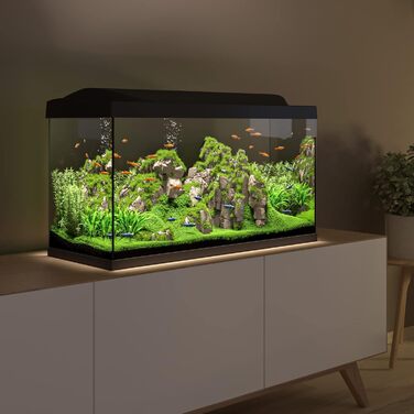Акваріумний комплект Tetra Starter Line 105 л з LED підсвіткою день/ніч, внутрішнім фільтром, обігрівачем, кормом і кондиціонером для води