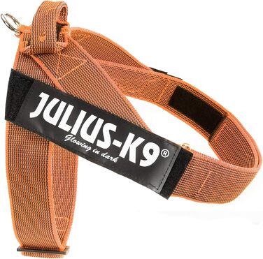 Шлейка Julius-K9 Color & Gray для собак, нейлонова