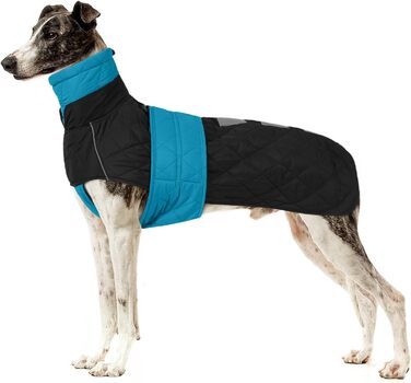 Куртка для собак породи Віндгаунд Saukis Mante, флісова підкладка, тепла, для активного відпочинку, XXL, блакитна