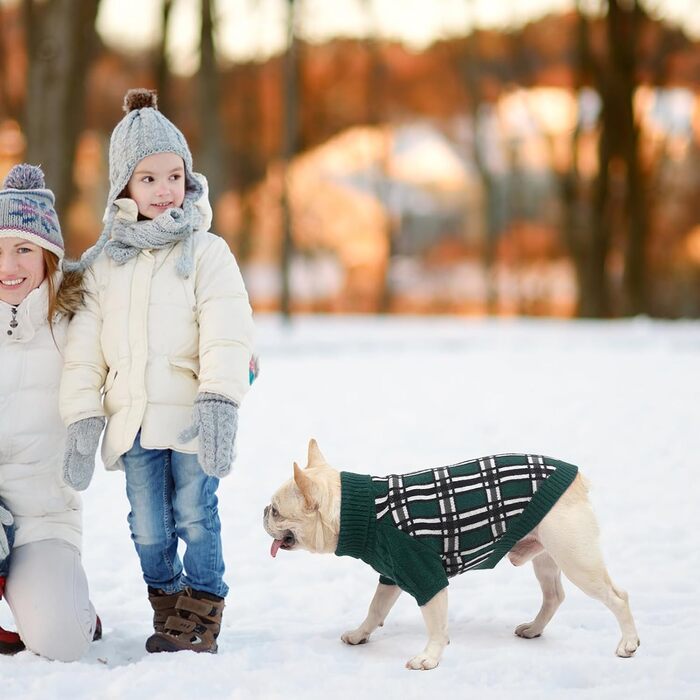 Світер для собак SCENEREAL з візерунком, теплий в'язаний светр з м'яким коміром-горловиною для собак маленьких, середніх та великих порід, цуценят та котів, для осені та зими, на холодну погоду, зелений, розмір Small-Medium