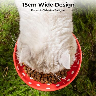 Підвищений годівниця для котів, керамічна миска у формі гриба, широка та плоска миска для котів на підставці, миска для котів, що запобігає блювоті, миска для кошенят та літніх котів (червона)