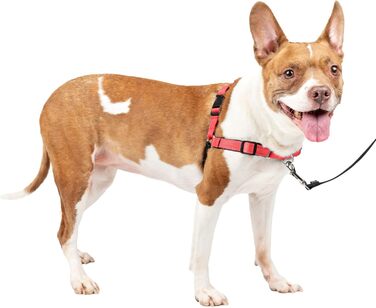Шлея для собак PetSafe Deluxe Easy Walk, преміум якість