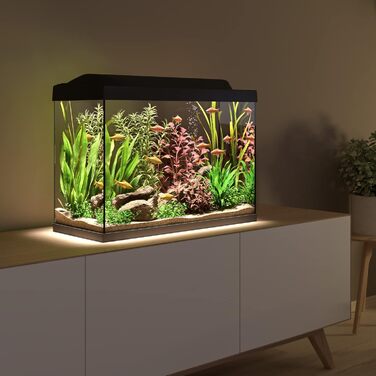 Акваріумний комплект Tetra Starter Line 80 л з LED-підсвіткою день/ніч, фільтром, нагрівачем, кормом і кондиціонером для води