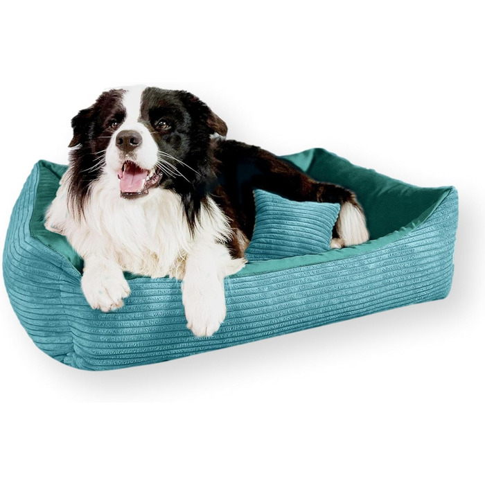 М'яке ліжко для собак та котів 4L Textil Molly, 60x40 см, блакитне (60x40x15 см)
