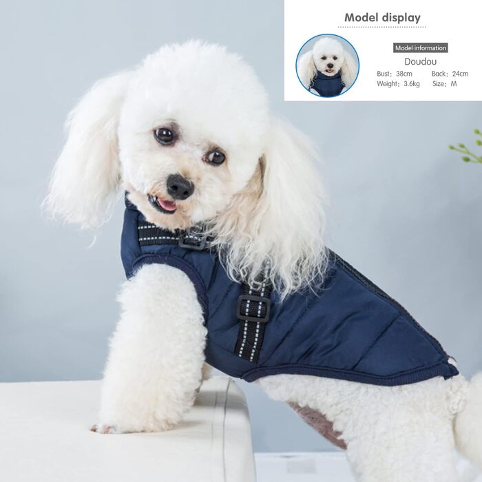 Водонепроникний жилет для собак на зиму Ectkuee, для маленьких собак, з D-порогом, блакитний (M)