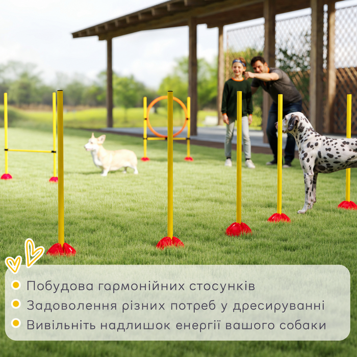 Тренувальний комплект для собак PawHut — набір для аджиліті з бар'єром, обручем, слаломом та сумкою