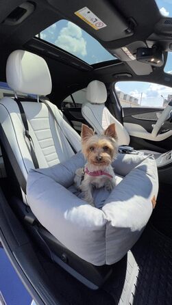 Автокрісло для собак, переноска для тварин у машину, 56x51x20 см (Сірий)