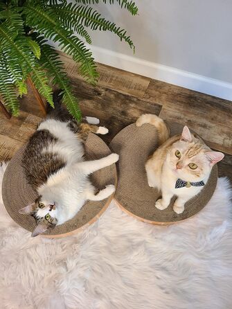 Кігтеточка-лежанка Necoichi Cozy Kratznapf для котів, 1.31 кг (підкладка дуб, Regular)