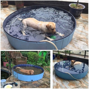 Великий посилений садовий басейн для собак XXL — Меганабір