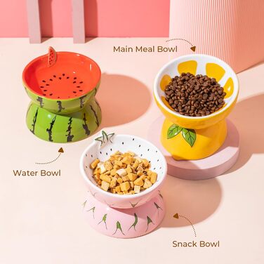 Котло propositions, піднята керамічна миска для котів, миска для їжі з підставкою, миска для котів, що запобігає блювоті, для кошенят, придатна для миття в посудомийній машині (рожевий) (кавун)