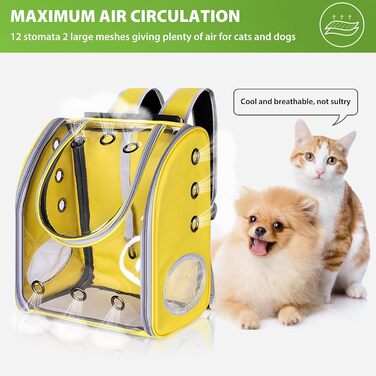 Рюкзак для собак та котів PETCUTE, дихаючий, прозорий, з матрацом, для подорожей, дозволений авіакомпаніями