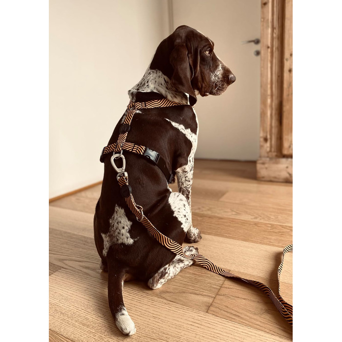 Шлейка для собак MORSO® H, 5-точкове регулювання, жовто-оранжевий/чорний, розмір M