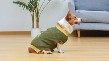 Пуловер для собак Star Wars Boba Fett, розмір M (Medium) | Пуловер для собак Boba Fett | Одяг для домашніх тварин, пуловер для собак | Подарунок для шанувальників Star Wars, подарунок Boba Fett, зелений