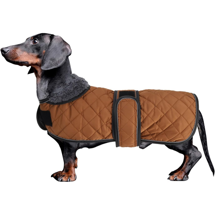 MOREZI Теплий зимовий одяг для собак - водонепроникний пуловер для такс з вовняною підкладкою та регульованими ременями, теплий зимовий одяг для маленьких собак на вулицю, зелений, S (довжина спини: 36-38 см), зелений (M (довжина спини: 42-45 см), коричне