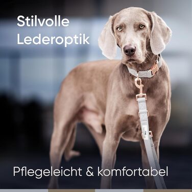 Нашийник для собак Freudentier з веганської шкіри, подарунковий мішечок, м'який, регульований та міцний, для середніх та великих собак, обхват шиї 34-49 см, ширина 2 см