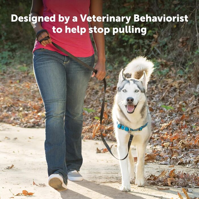 Шлея для собак PetSafe Deluxe Easy Walk, преміум