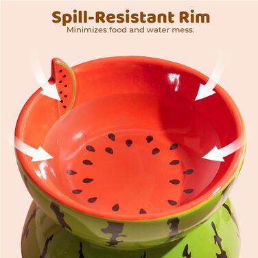 Котло propositions, піднята керамічна миска для котів, миска для їжі з підставкою, миска для котів, що запобігає блювоті, для кошенят, придатна для миття в посудомийній машині (рожевий) (кавун)