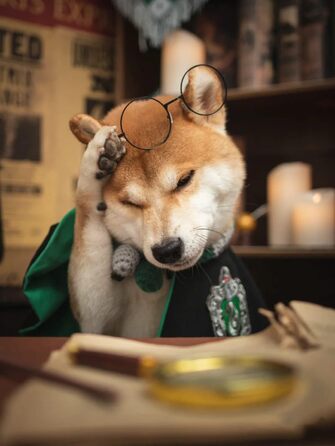 Костюм для собак та котів з окулярами та краваткою, косплей, Slytherin, розмір M