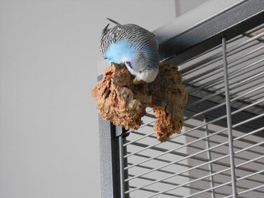 Vogelgaleria 6-елементний набір іграшок для птахів – базовий комплект для власників, іграшки для хвилястих папуг і корел