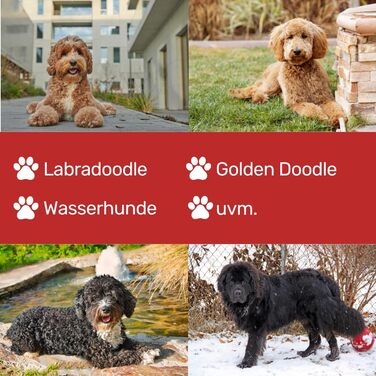 Ножиці для витончення волосся EHASO двосторонні, 13,5 см, 25 зубців