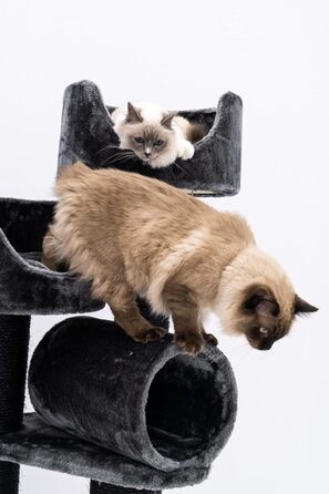 Дряпка для котів Petrebels Victoria 125 см, преміум, чорна, з лежанкою, ігровою трубою, будиночком і товстими стовпами Ø12 см