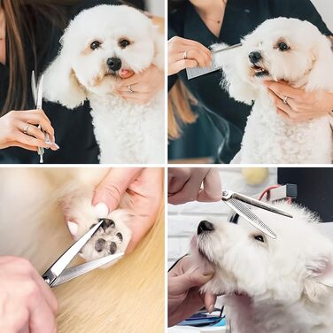 Набір професійних ножиць для грумінгу собак та котів, 5 шт. з нержавіючої сталі: ножиці для підстригання, ножиці для витончення, ножиці з вигнутим лезом, ножиці для стрижки лап, гребінець для грумінгу