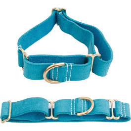 Нашийник-напівзашморг Blazing Paws Vibrania для великих собак XL-XXL, ширина 3,8 см, антикварні кольори, бірюзовий, регульований (38,1-45,7 см)