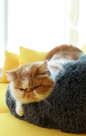 DEEN М'яке ліжко для котів та собак, кругла, 60 см, сірого кольору