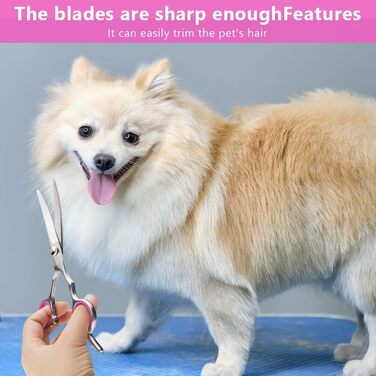 Набір для грумінгу собак, 4 частини: ножиці для нігтів, ножиці для стрижки, витончувальні ножиці та гребінець. З нержавіючої сталі, для собак, котів та інших тварин