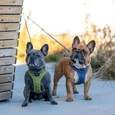 Шлея для собак DOG Copenhagen Comfort Walk Go, розмір M, мокко (коричнева)