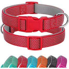 колір: гниль