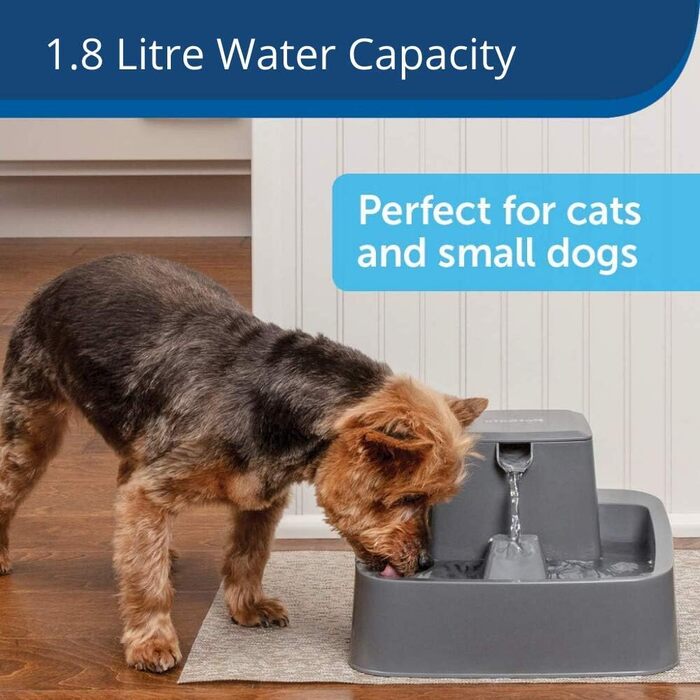 Автоматичний фонтан для води PetSafe Drinkwell 1,8 л, для котів і малих собак, з фільтром, легке очищення