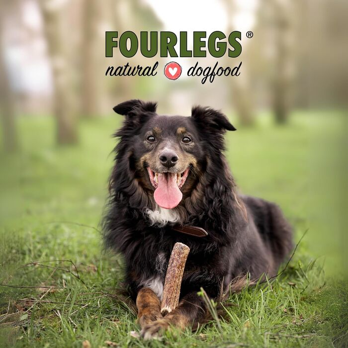 FOURLEGS натуральний жувальний снек для собак із 100% оленячих рогів XXL, набір 5 шт — мінерали, жуйка, кістка, іграшка, смак дичини