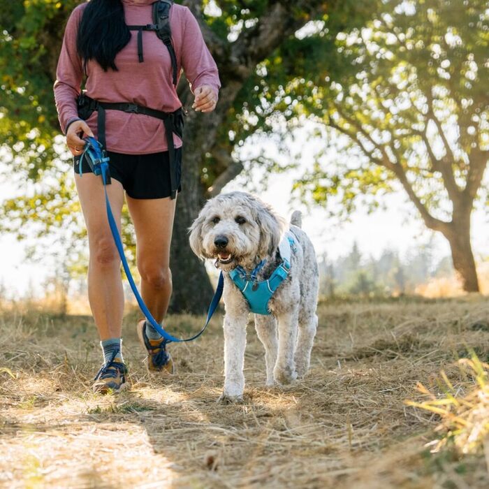 Шлейка Swamp Cooler від Ruffwear для собак з ручкою, легке прохолодне спорядження для собак, регульована, міцна та охолоджуюча, 2 петлі для повідків, Biolumin Blue (Small, 56-69 см)