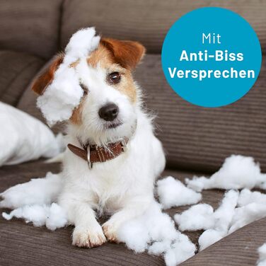 Ортопедична подушка для собак Luna S: 70x55 см, бежева. Зносостійка, для маленьких собак, для саду та дому. Можна прати при 60°C, з віскоеластомерної піни.