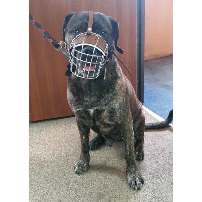 Корзина для собак American Bully з чорної шкіри та дроту (BA, коричнева шкіра / срібло)