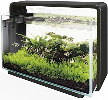 Акваріум Superfish Home 65 чорний для прісної води