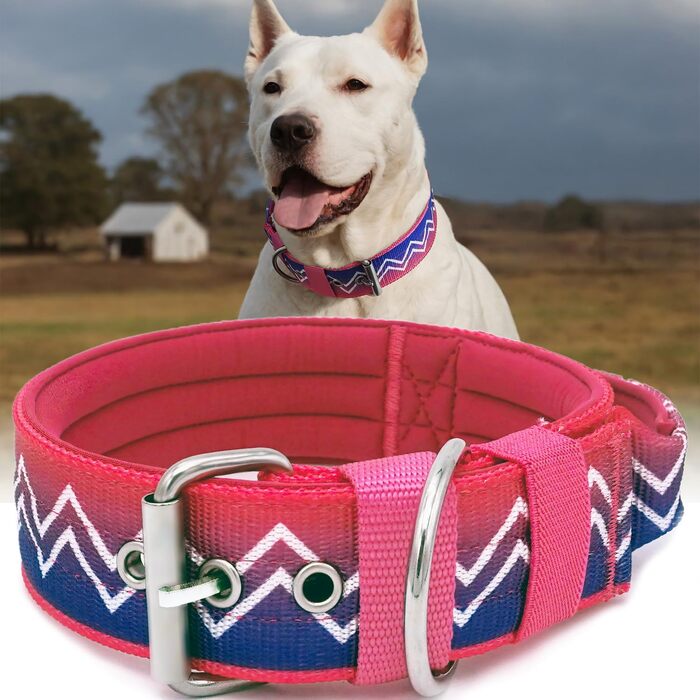 Нашийник Kontroll Hundehalsband Premium NeckShield для собак великих та дуже великих порід, 5 см, зелений (43-50 см), з м'якою подушкою, сертифікат SGS