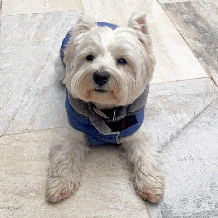 Benetton Hundebett для середніх собак, сірий, 90 см, ергономічне, з поліестеру, придатне для прання