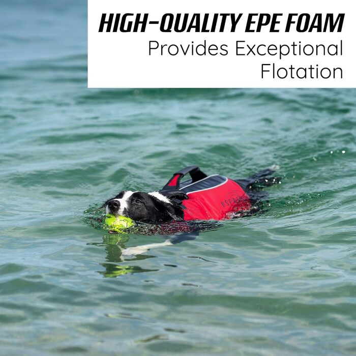 Оптимізована жилет для плавання собак Osprey, регульована, з ручкою, світловідбиваючі смуги, для малих, середніх та великих собак - жилет для безпечного плавання, XS